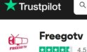 FreeGo TV Review