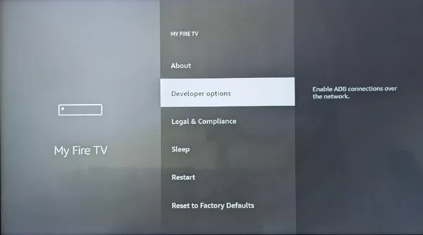 Select Developer Options