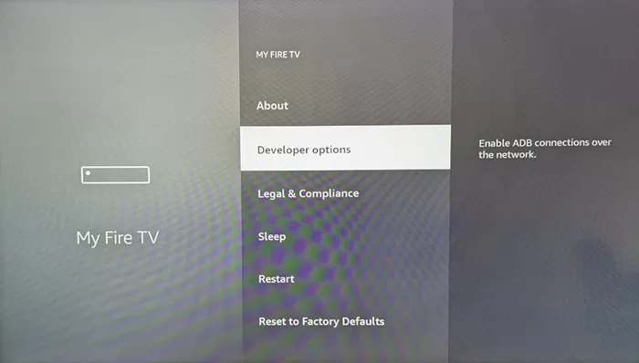 Select Developer Options