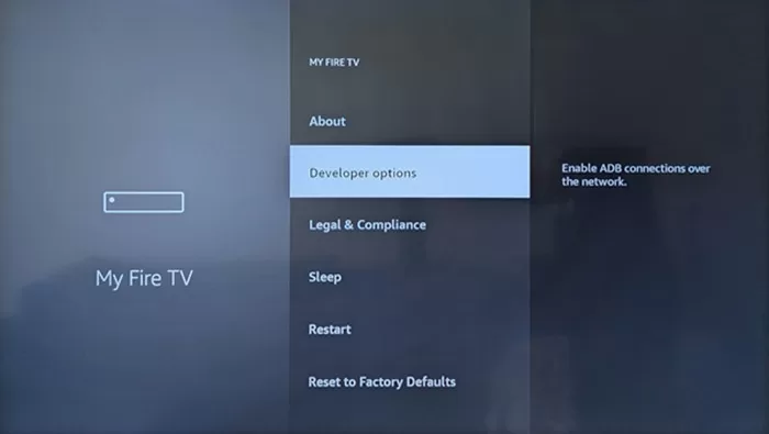 Select Developer Options