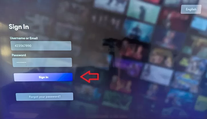 Select the Sign In button