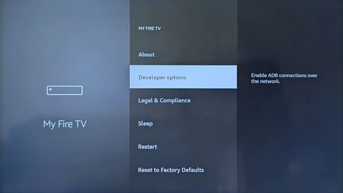 Select Developer Option