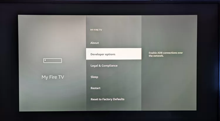 Select Developer Options